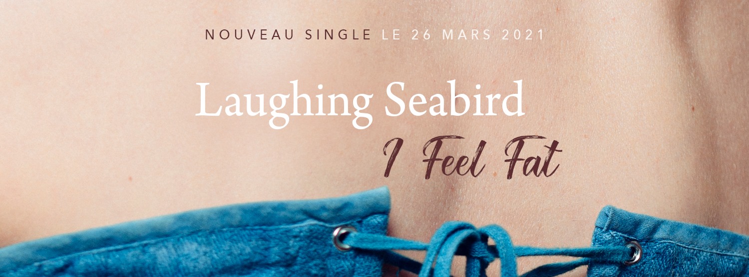 Laughing Seabird : Nouvel album disponible le 28 mai 2021 - Découvrez ...